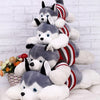 Siberian Husky Lies Prone Dog Plush Toys