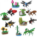 Educational Toy