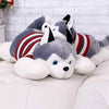 Siberian Husky Lies Prone Dog Plush Toys